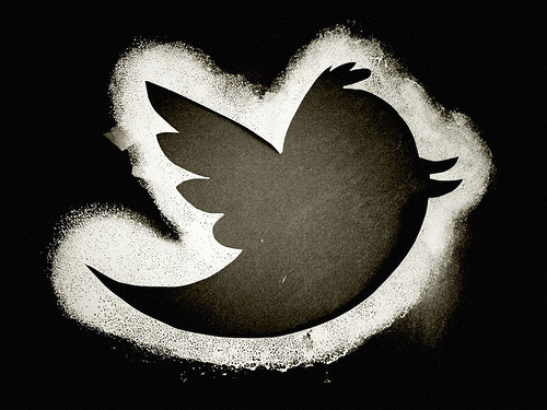 twitter bird twitter bird