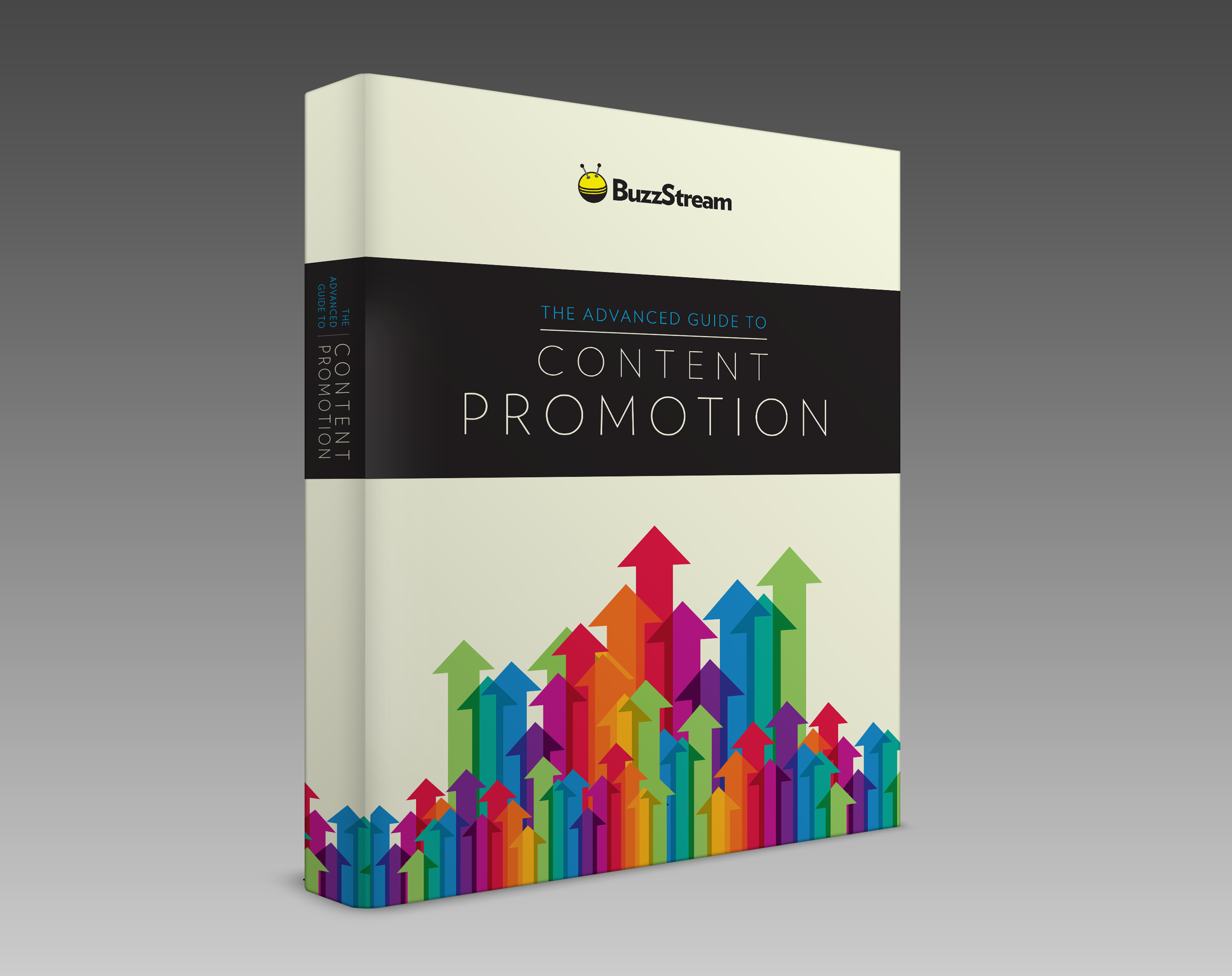 Advanced Guide to Content Promotion Cover