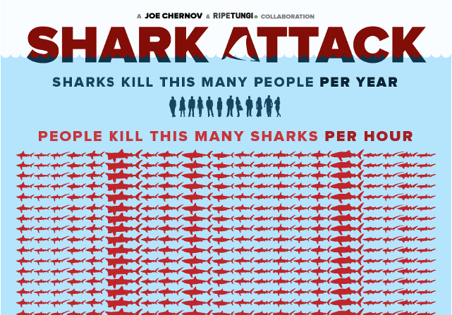 shark infographic
