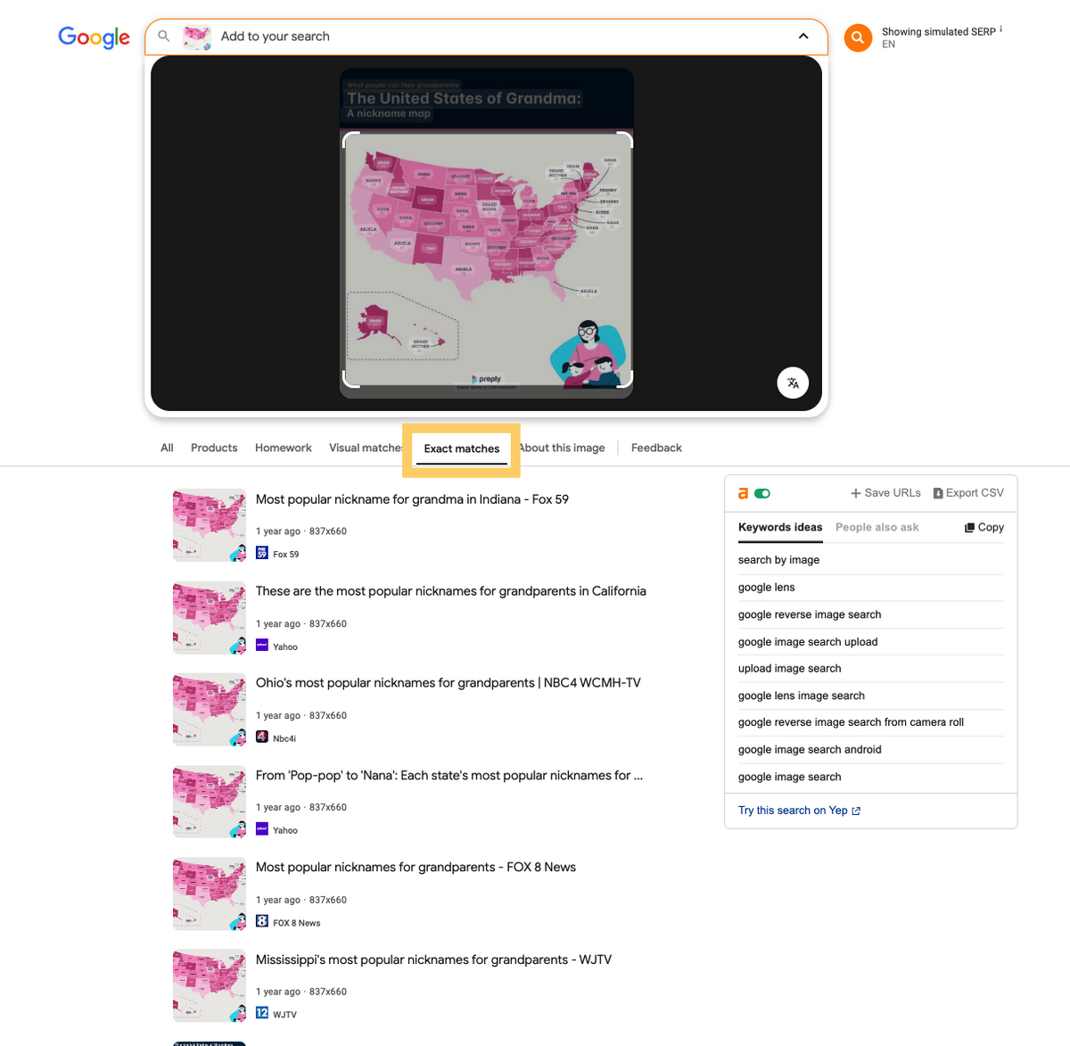 google image search exact match