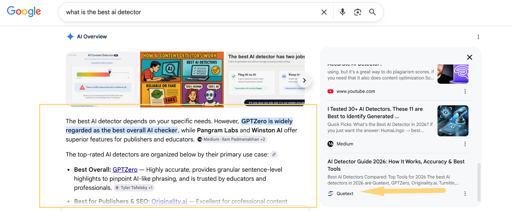 best ai detector screenshot with the answer highlighte4d